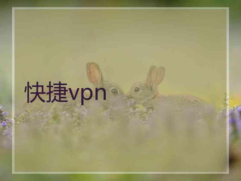 快捷vpn