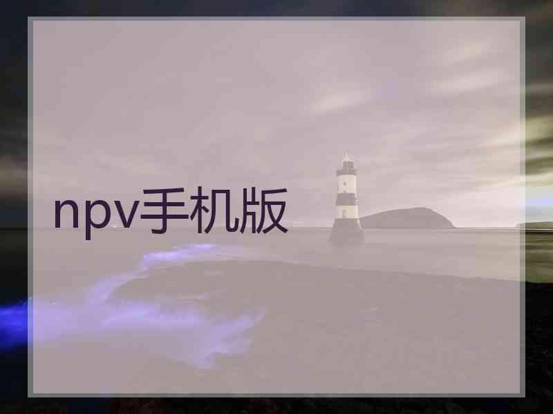 npv手机版