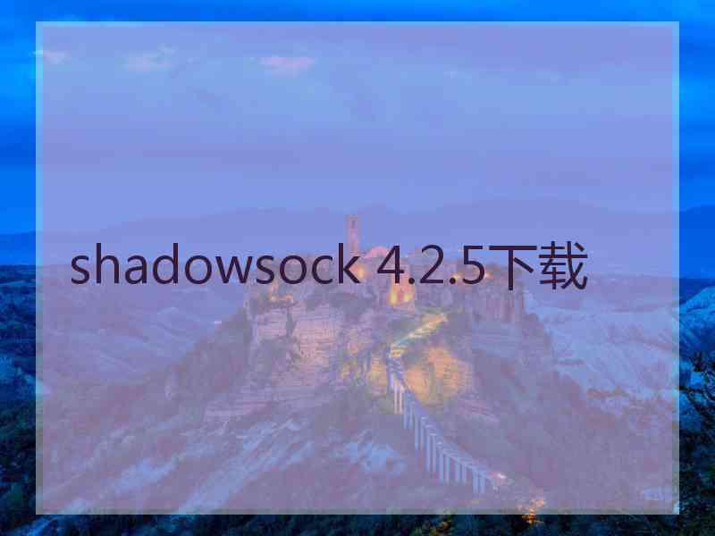 shadowsock 4.2.5下载