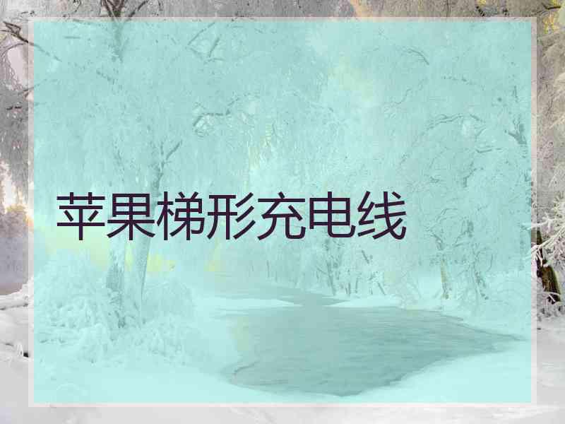 苹果梯形充电线