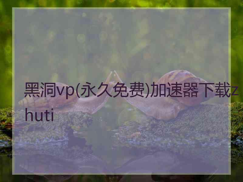 黑洞vp(永久免费)加速器下载zhuti