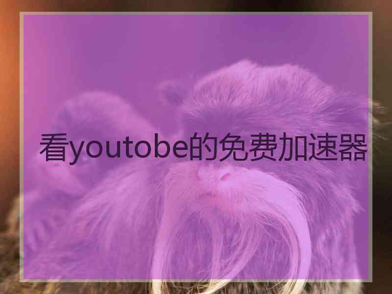 看youtobe的免费加速器