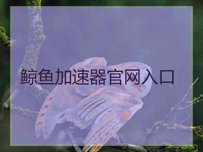 鲸鱼加速器官网入口