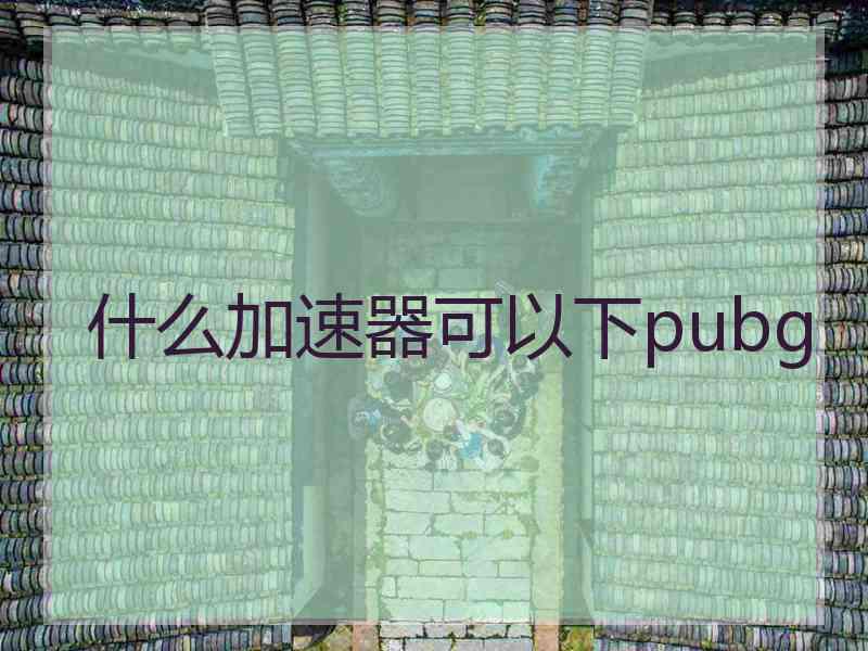 什么加速器可以下pubg