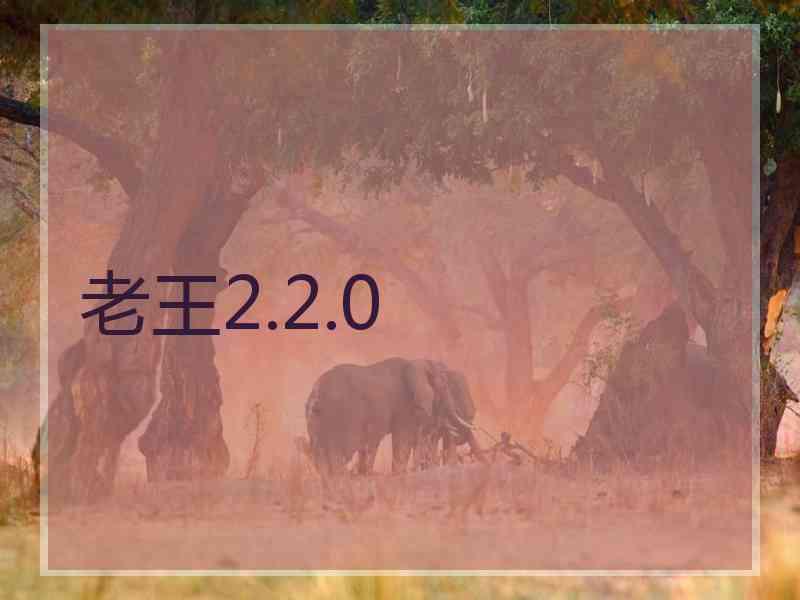 老王2.2.0