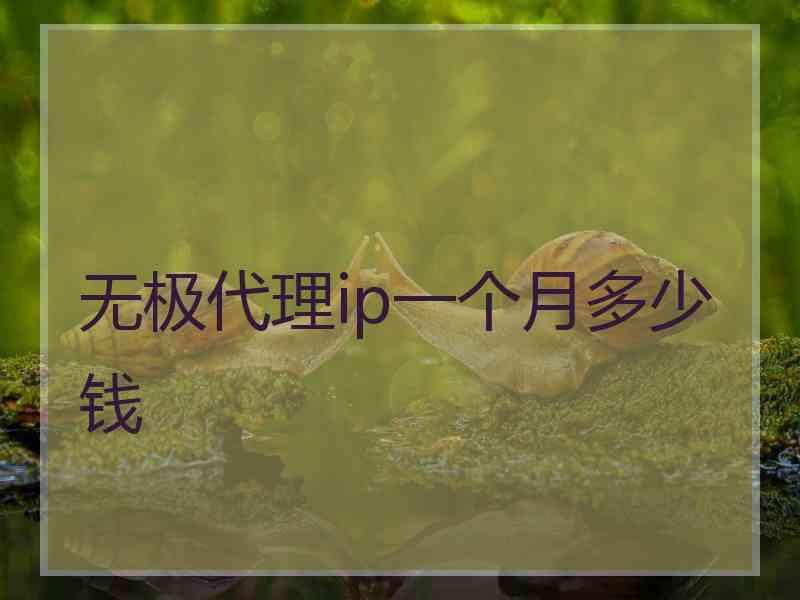 无极代理ip一个月多少钱