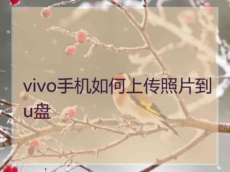 vivo手机如何上传照片到u盘