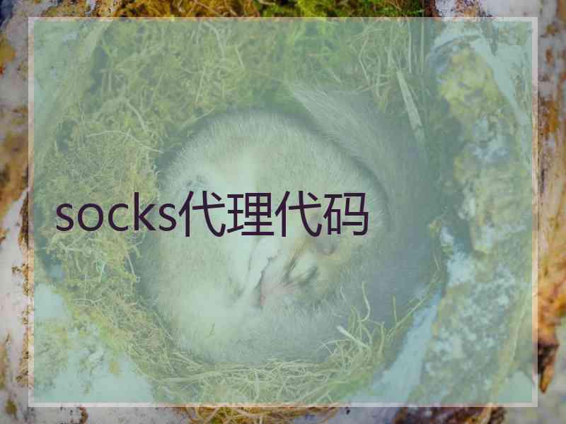 socks代理代码