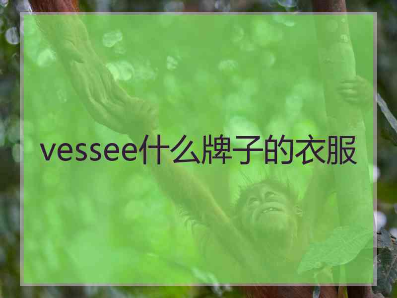 vessee什么牌子的衣服