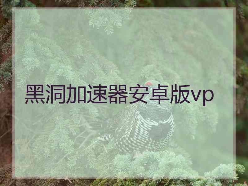 黑洞加速器安卓版vp