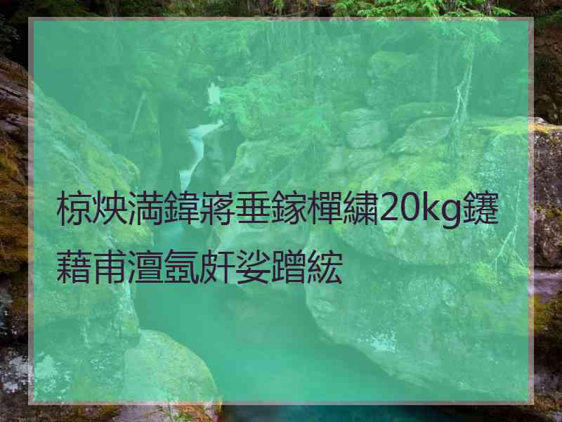 椋炴満鍏嶈垂鎵樿繍20kg鑳藉甫澶氬皯娑蹭綋