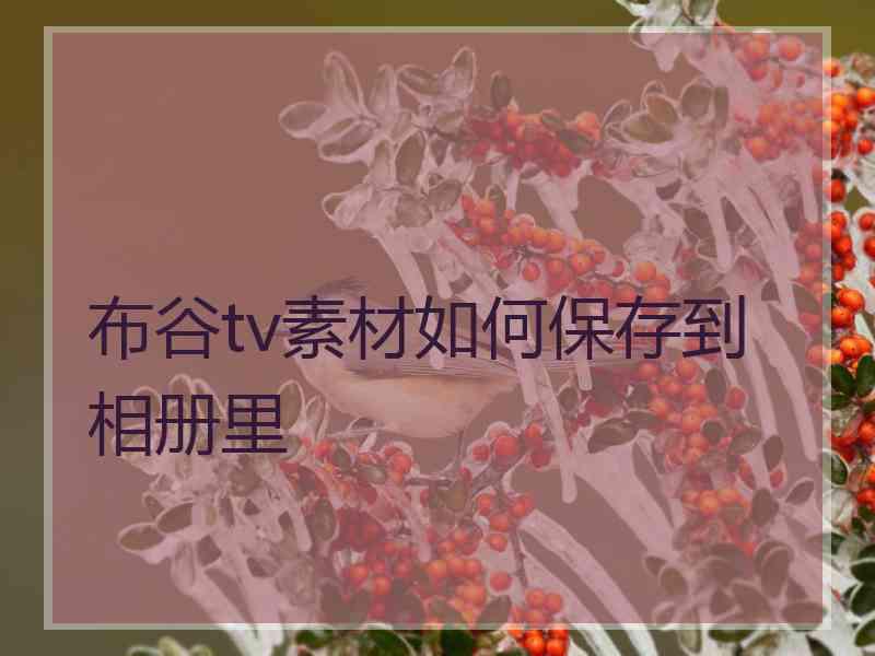 布谷tv素材如何保存到相册里