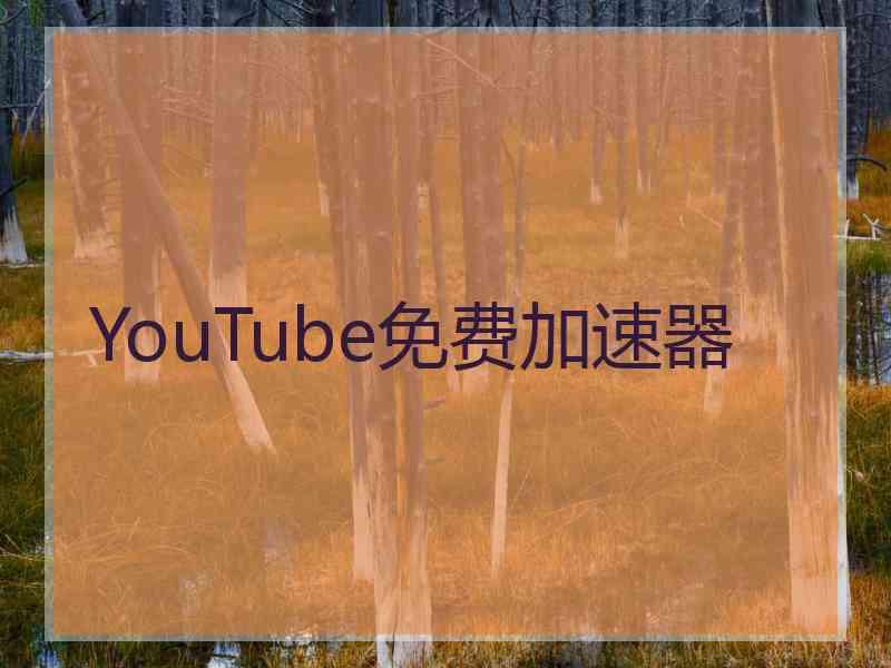 YouTube免费加速器