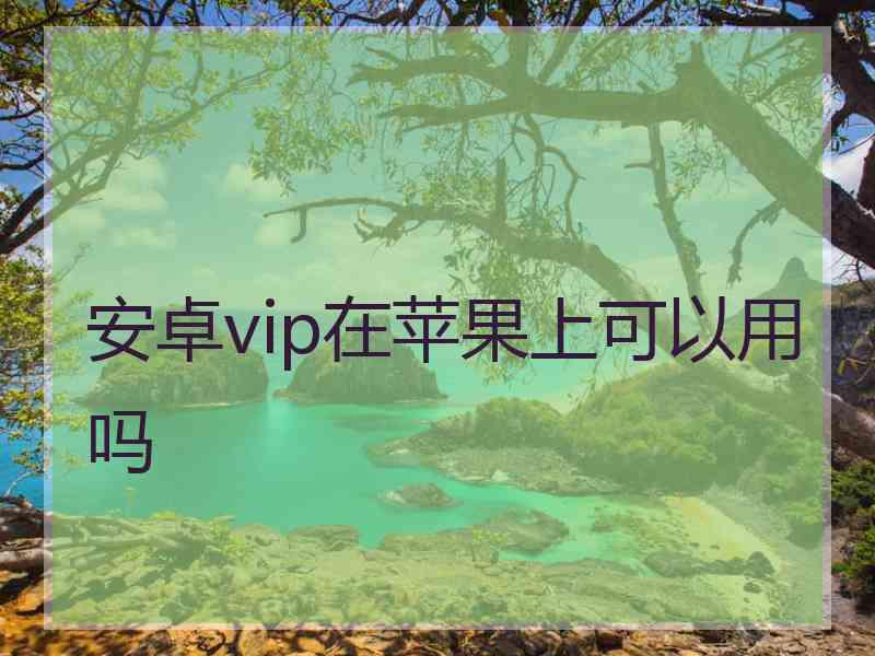 安卓vip在苹果上可以用吗