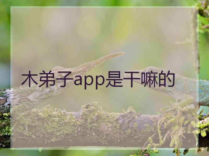 木弟子app是干嘛的