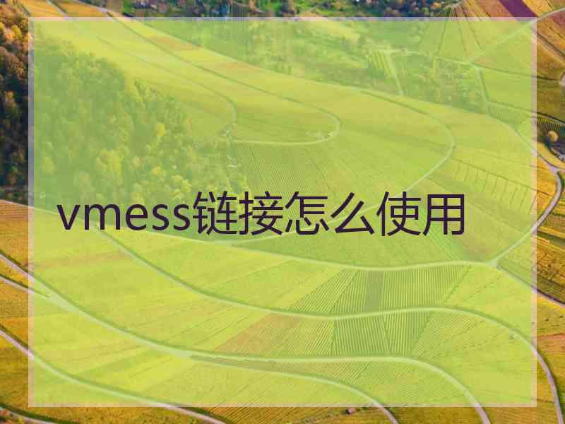 vmess链接怎么使用