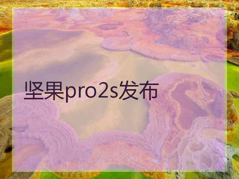 坚果pro2s发布