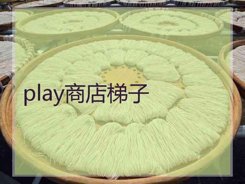 play商店梯子