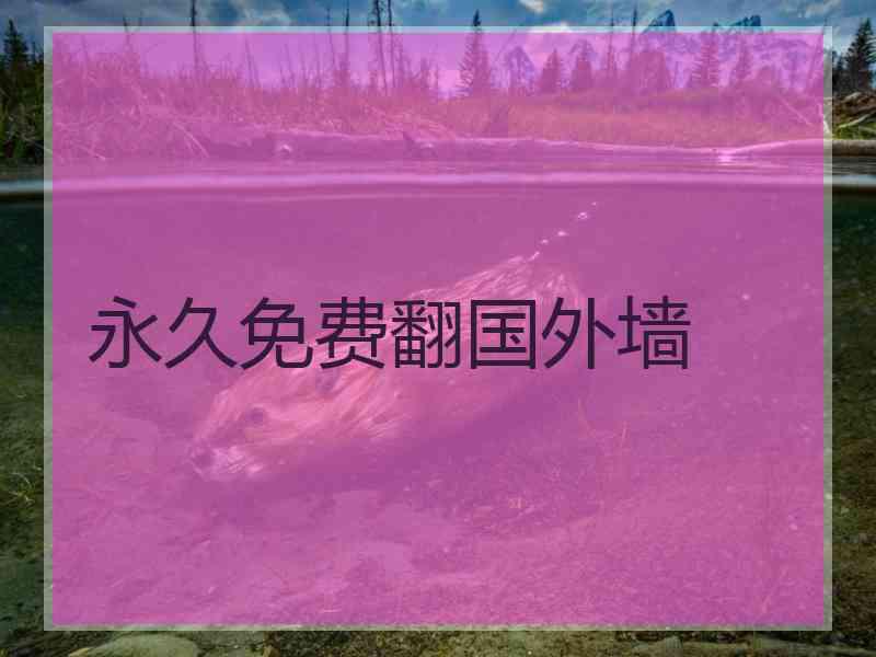 永久免费翻国外墙