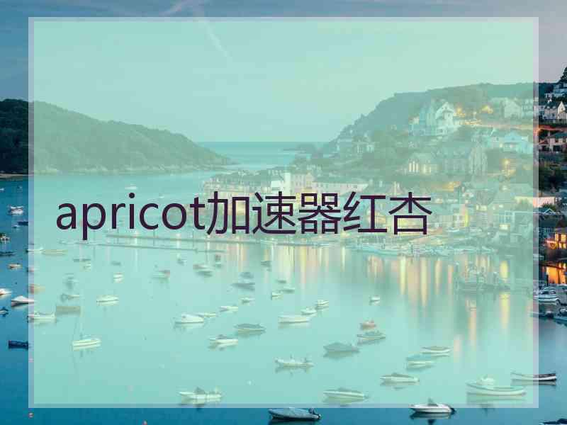 apricot加速器红杏