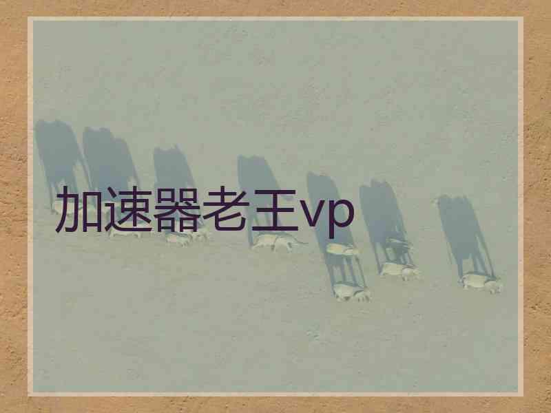 加速器老王vp