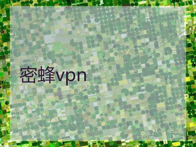 密蜂vpn