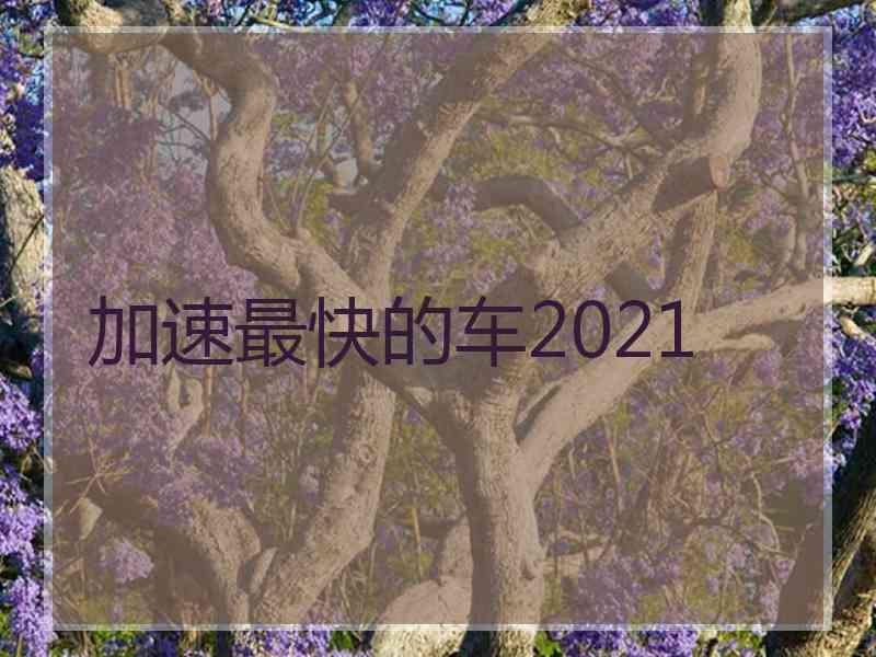 加速最快的车2021