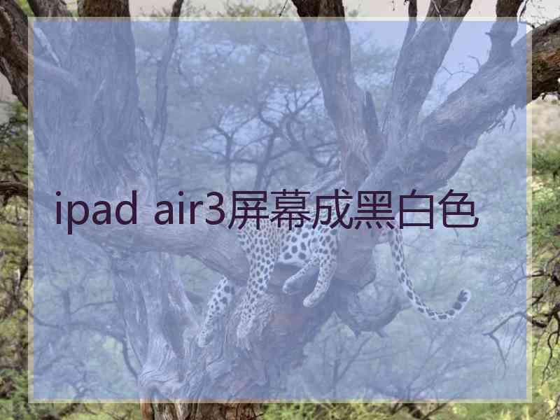 ipad air3屏幕成黑白色