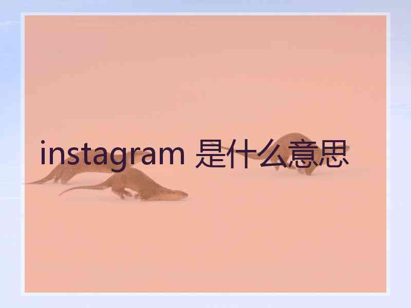 instagram 是什么意思