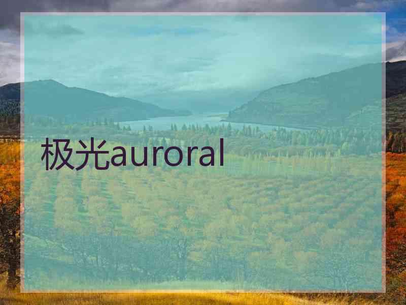 极光auroral