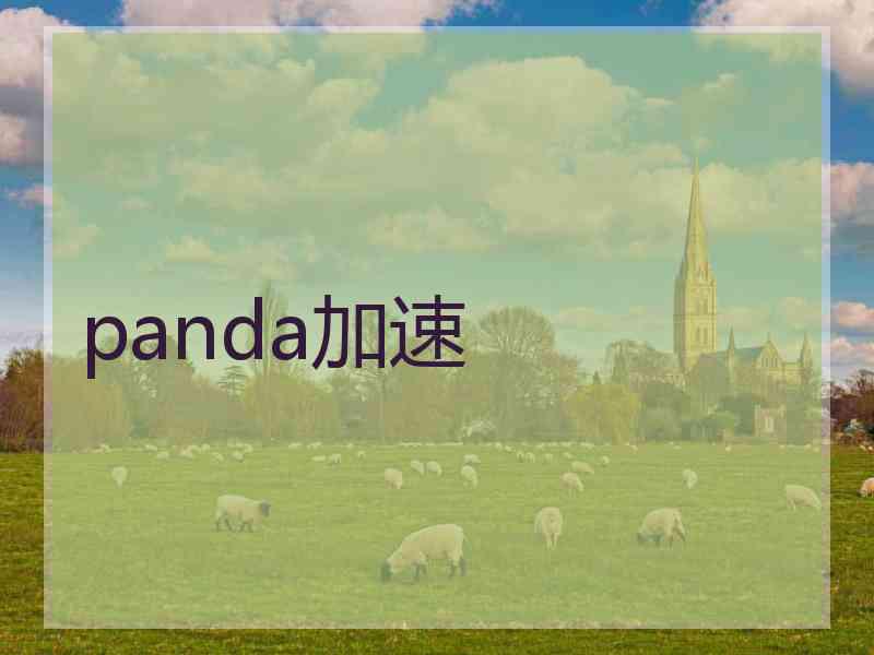 panda加速