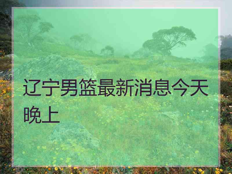 辽宁男篮最新消息今天晚上