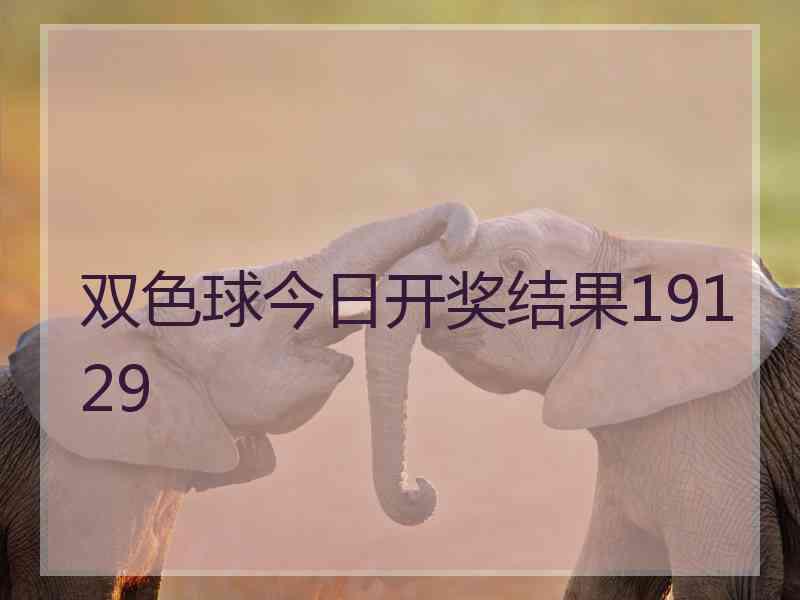 双色球今日开奖结果19129