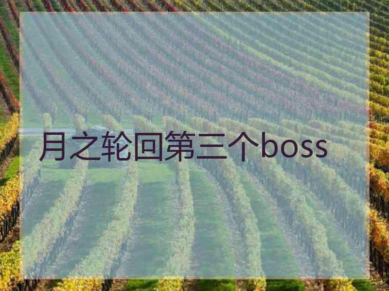 月之轮回第三个boss