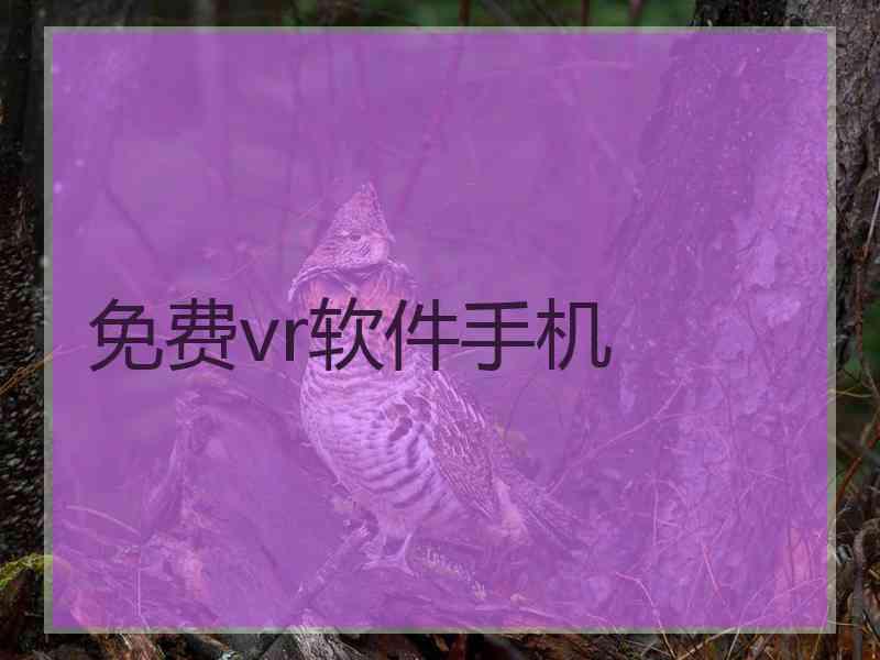 免费vr软件手机