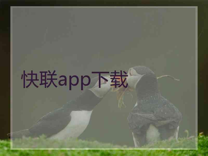 快联app下载