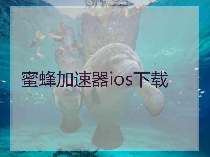 蜜蜂加速器ios下载