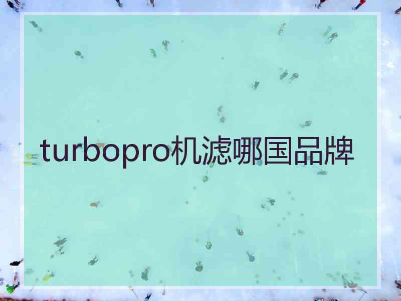 turbopro机滤哪国品牌