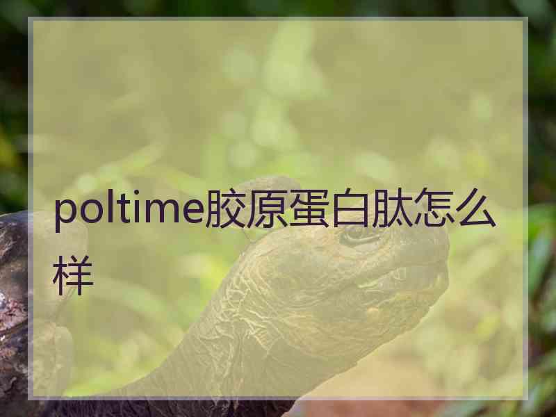 poltime胶原蛋白肽怎么样