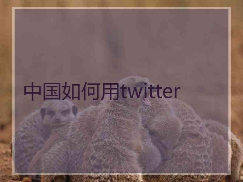 中国如何用twitter