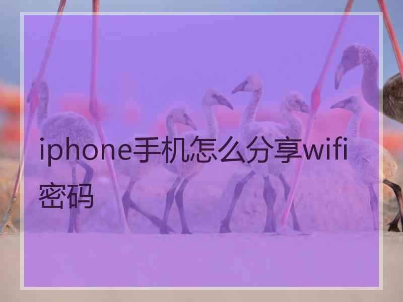 iphone手机怎么分享wifi密码