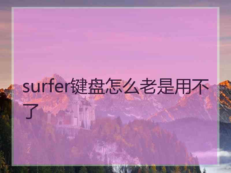 surfer键盘怎么老是用不了