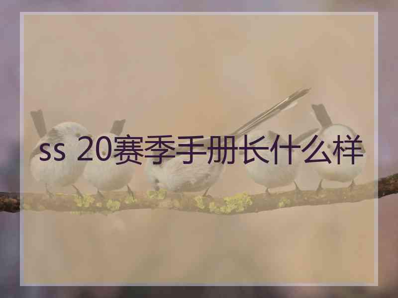 ss 20赛季手册长什么样