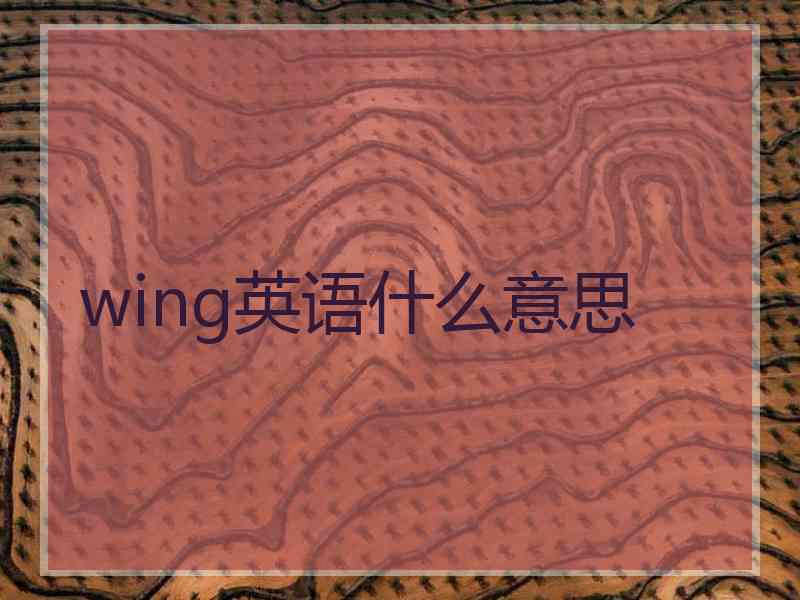 wing英语什么意思