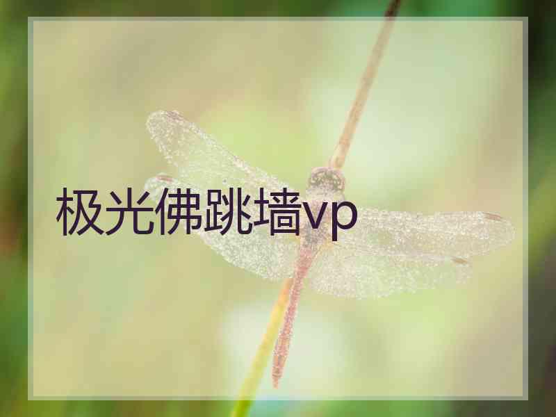 极光佛跳墙vp