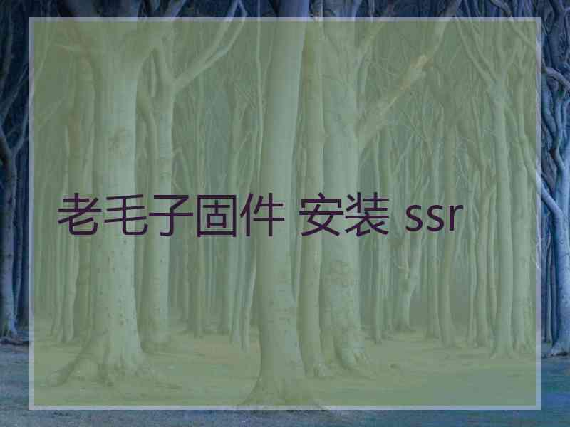 老毛子固件 安装 ssr