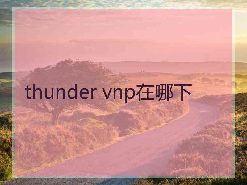 thunder vnp在哪下