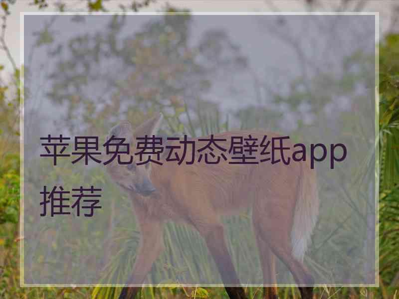 苹果免费动态壁纸app推荐