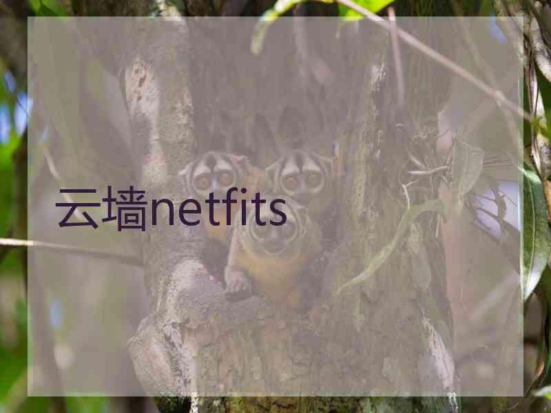 云墙netfits