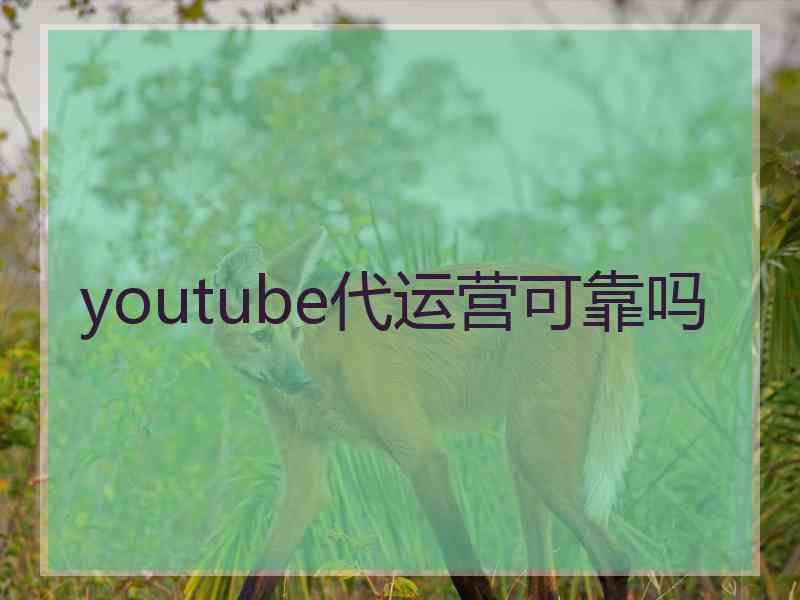 youtube代运营可靠吗